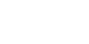 lesico-logo
